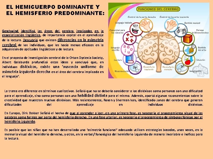 EL HEMICUERPO DOMINANTE Y EL HEMISFERIO PREDOMINANTE: Geschwind identificó las áreas del cerebro implicadas