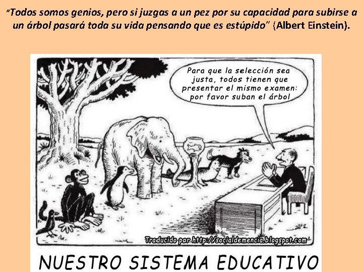 “Todos somos genios, pero si juzgas a un pez por su capacidad para subirse