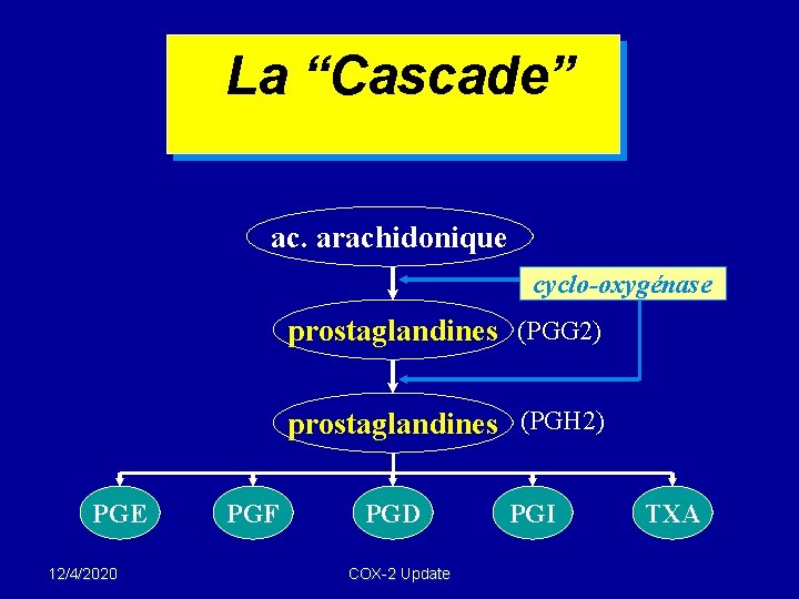 La “Cascade” ac. arachidonique cyclo-oxygénase prostaglandines (PGG 2) prostaglandines (PGH 2) PGE 12/4/2020 PGF