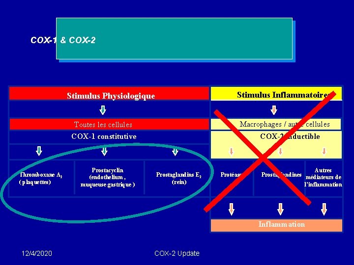 COX-1 & COX-2 Stimulus Inflammatoires Stimulus Physiologique Macrophages / autre cellules Toutes les cellules