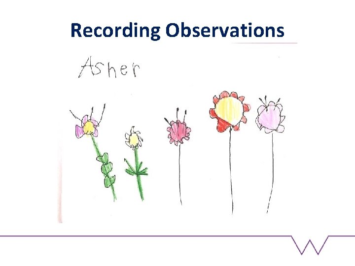 Recording Observations 