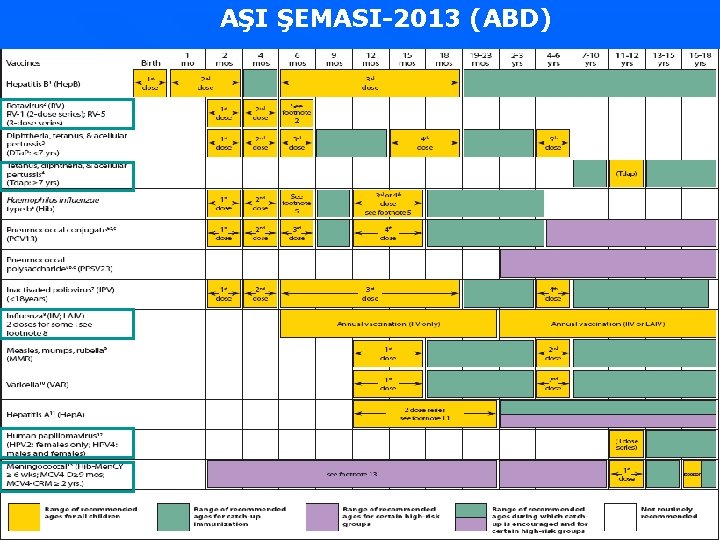 AŞI ŞEMASI-2013 (ABD) 