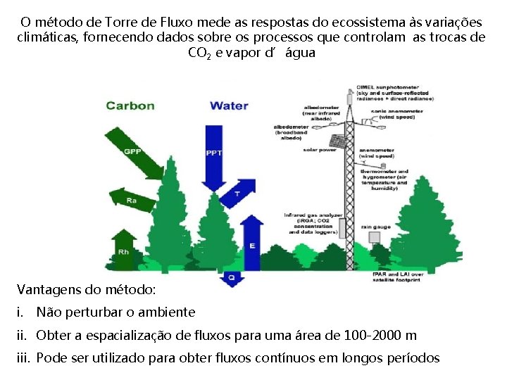 O método de Torre de Fluxo mede as respostas do ecossistema às variações climáticas,