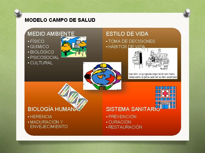 MODELO CAMPO DE SALUD MEDIO AMBIENTE ESTILO DE VIDA • FÍSICO • QUÍMICO •