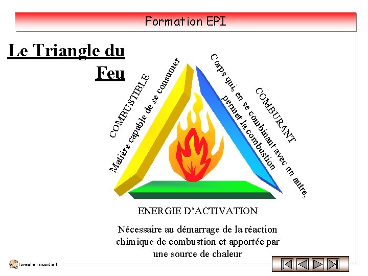 Formation EPI r BU ST IBL abl ed E es ec on sum e