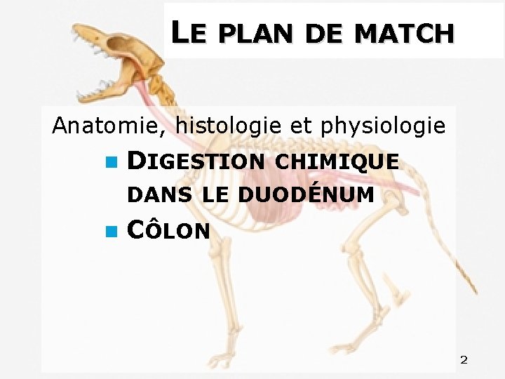 LE PLAN DE MATCH Anatomie, histologie et physiologie DIGESTION CHIMIQUE DANS LE DUODÉNUM CÔLON