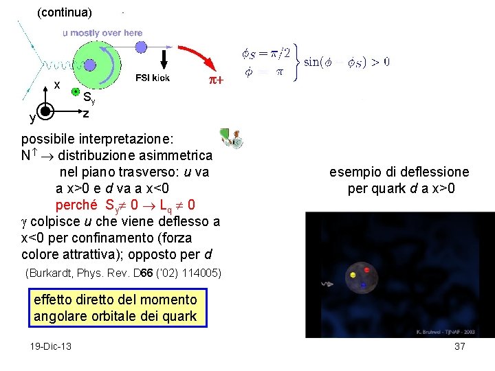 (continua) x y Sy z possibile interpretazione: N distribuzione asimmetrica nel piano trasverso: u