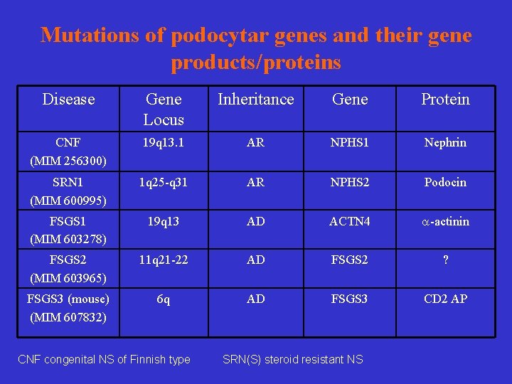 Mutations of podocytar genes and their gene products/proteins Disease Gene Locus Inheritance Gene Protein