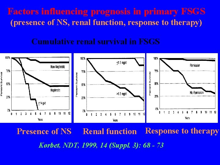 Factors influencing prognosis in primary FSGS (presence of NS, renal function, response to therapy)