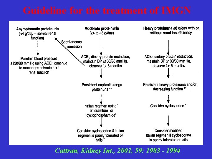 Guideline for the treatment of IMGN Cattran, Kidney Int. , 2001, 59: 1983 -