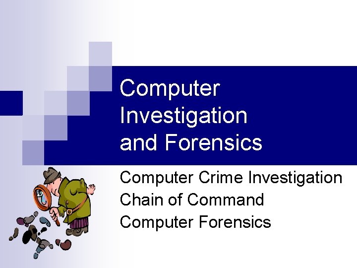 Computer Investigation and Forensics Computer Crime Investigation Chain of Command Computer Forensics 