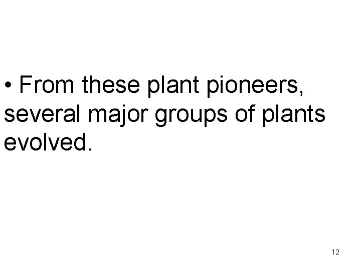  • From these plant pioneers, several major groups of plants evolved. 12 