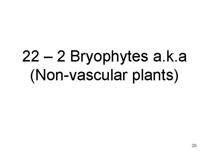 22 – 2 Bryophytes a. k. a (Non-vascular plants) 20 