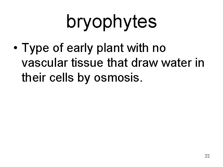 bryophytes • Type of early plant with no vascular tissue that draw water in