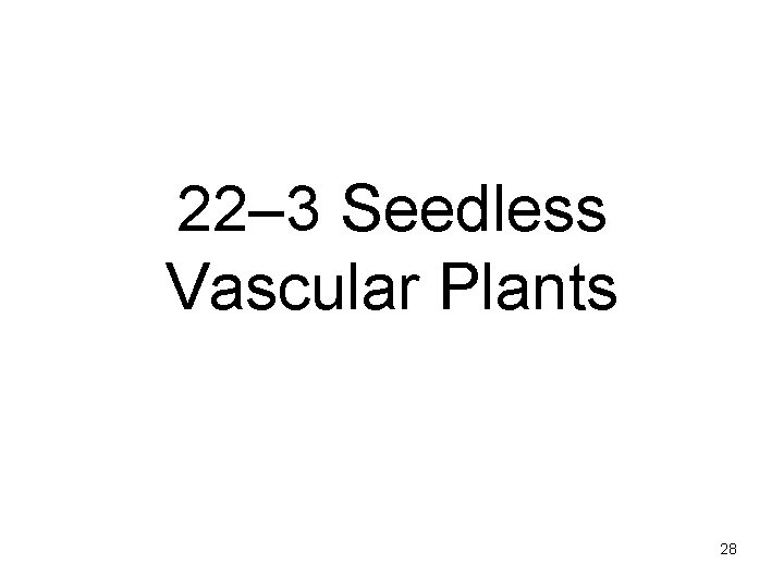 22– 3 Seedless Vascular Plants 28 