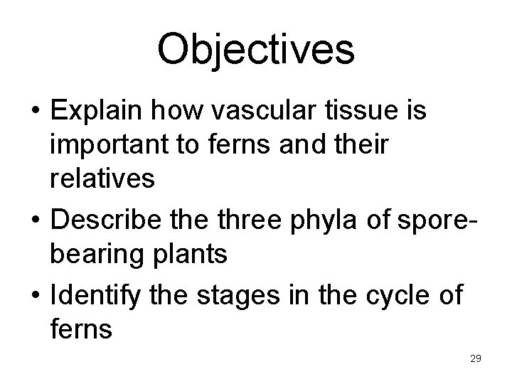 Objectives • Explain how vascular tissue is important to ferns and their relatives •