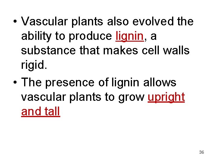  • Vascular plants also evolved the ability to produce lignin, a substance that