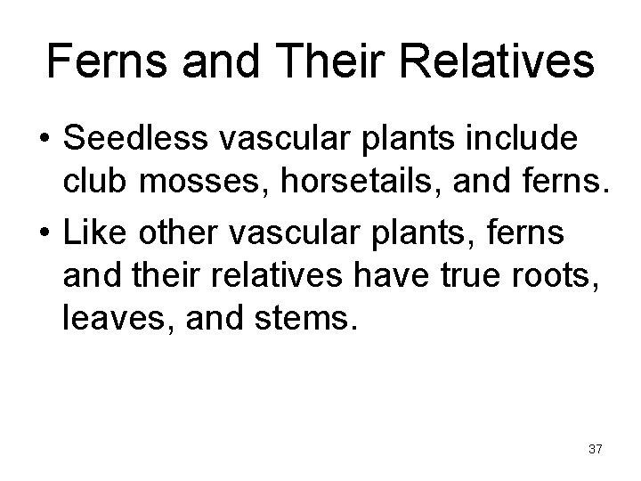 Ferns and Their Relatives • Seedless vascular plants include club mosses, horsetails, and ferns.