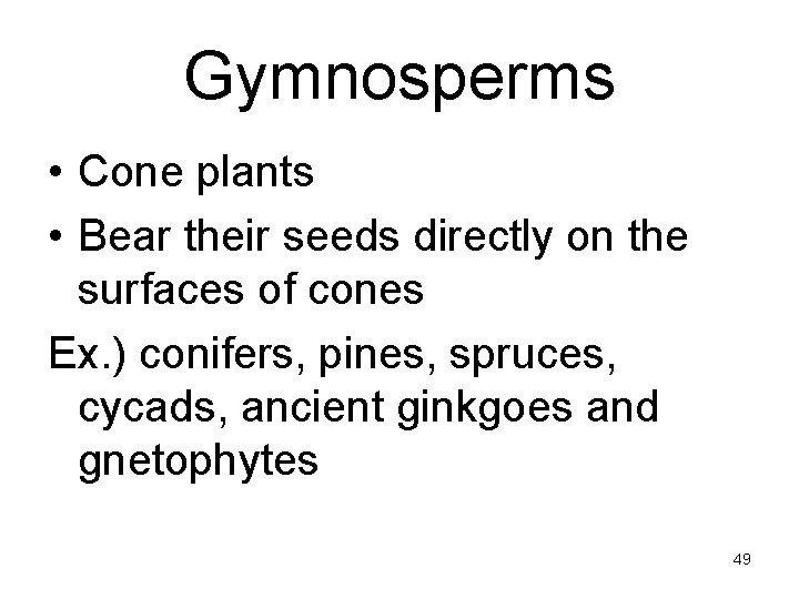 Gymnosperms • Cone plants • Bear their seeds directly on the surfaces of cones