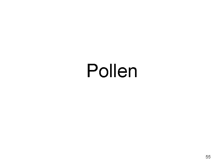 Pollen 55 