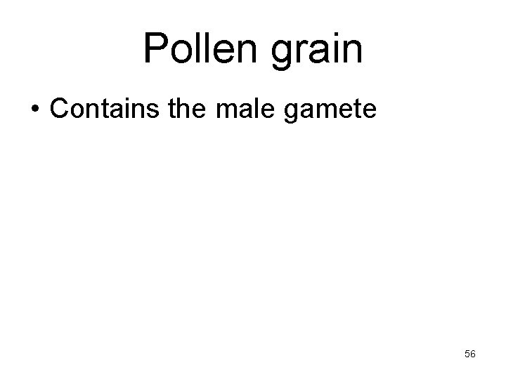 Pollen grain • Contains the male gamete 56 