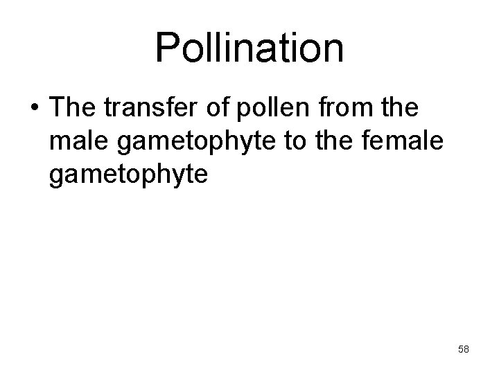 Pollination • The transfer of pollen from the male gametophyte to the female gametophyte