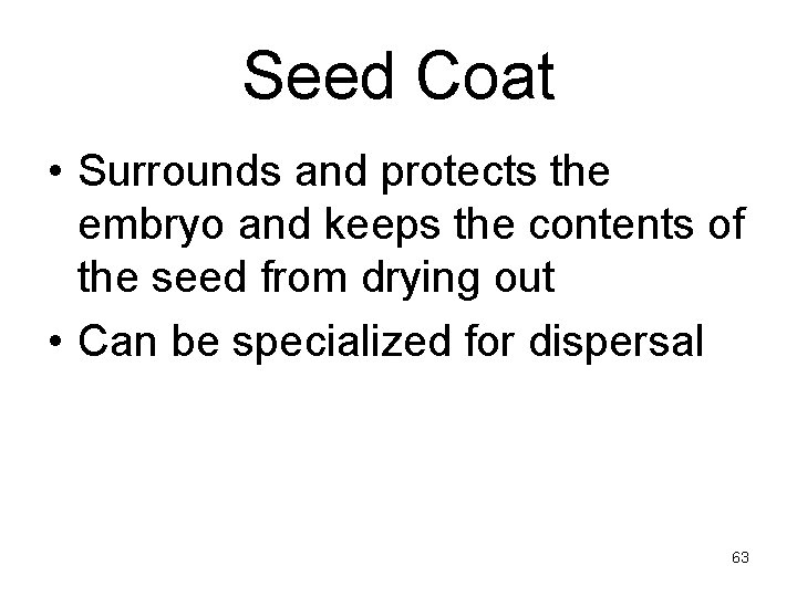 Seed Coat • Surrounds and protects the embryo and keeps the contents of the