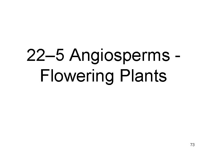 22– 5 Angiosperms - Flowering Plants 73 