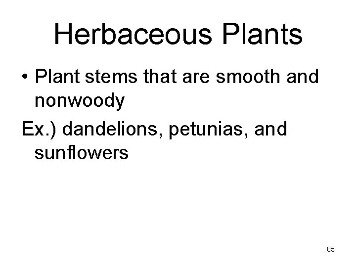 Herbaceous Plants • Plant stems that are smooth and nonwoody Ex. ) dandelions, petunias,