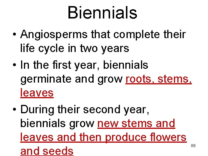 Biennials • Angiosperms that complete their life cycle in two years • In the