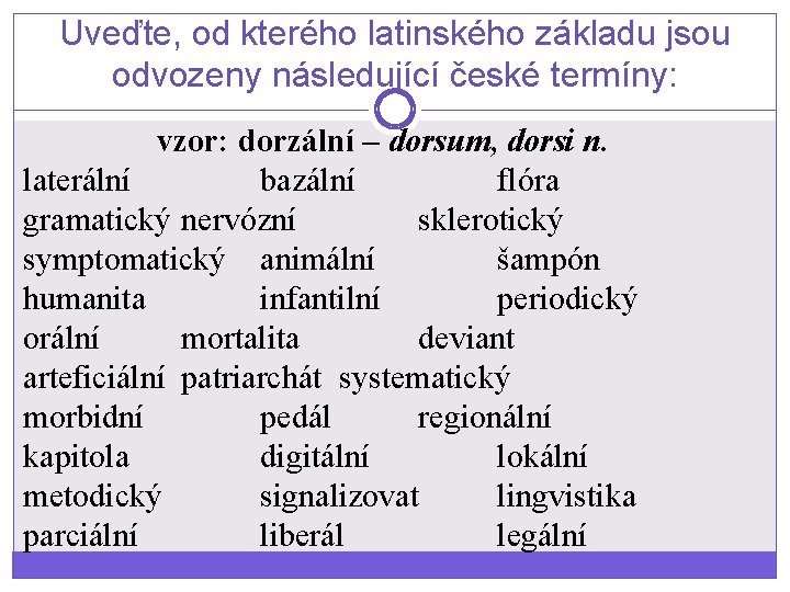 Uveďte, od kterého latinského základu jsou odvozeny následující české termíny: vzor: dorzální – dorsum,