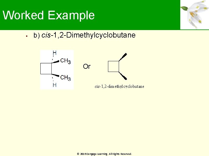 Worked Example b) cis-1, 2 -Dimethylcyclobutane Or © 2016 Cengage Learning. All Rights Reserved.