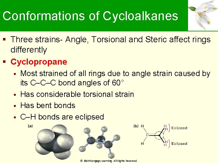 Conformations of Cycloalkanes Three strains- Angle, Torsional and Steric affect rings differently Cyclopropane Most