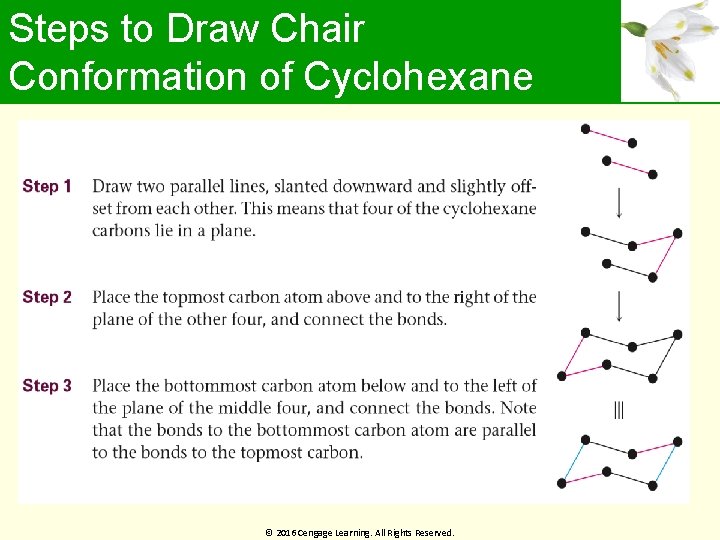 Steps to Draw Chair Conformation of Cyclohexane © 2016 Cengage Learning. All Rights Reserved.