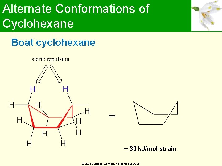 Alternate Conformations of Cyclohexane Boat cyclohexane ~ 30 k. J/mol strain © 2016 Cengage