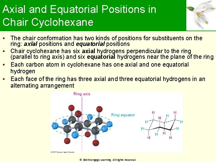 Axial and Equatorial Positions in Chair Cyclohexane The chair conformation has two kinds of