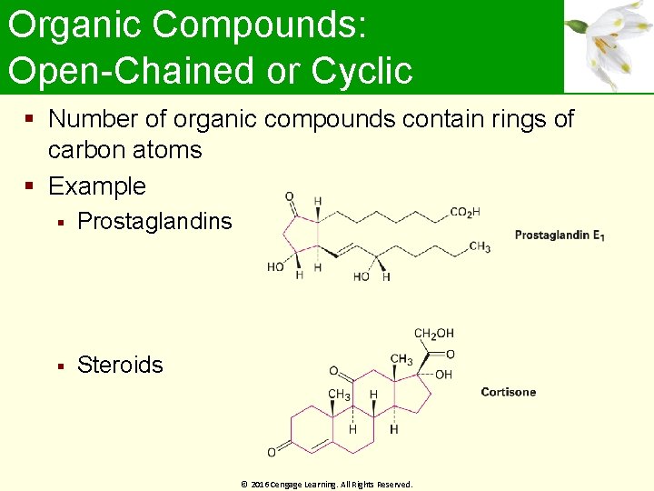 Organic Compounds: Open-Chained or Cyclic Number of organic compounds contain rings of carbon atoms