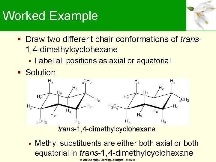 Worked Example Draw two different chair conformations of trans- 1, 4 -dimethylcyclohexane Label all