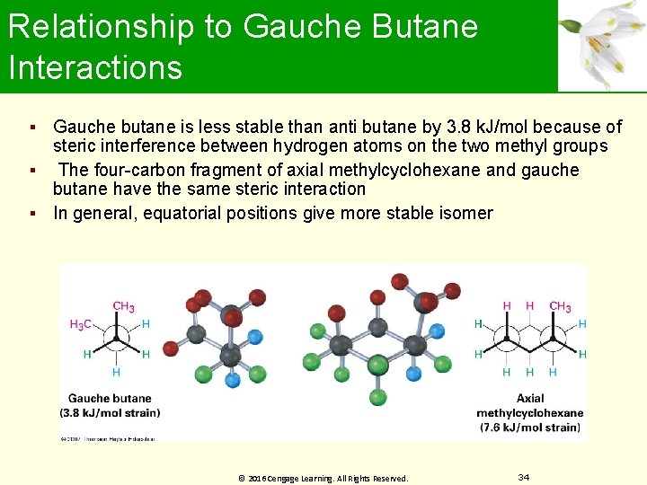 Relationship to Gauche Butane Interactions Gauche butane is less stable than anti butane by