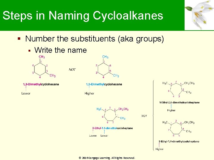 Steps in Naming Cycloalkanes Number the substituents (aka groups) Write the name © 2016