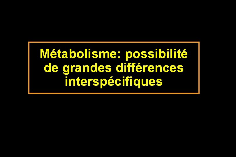 Métabolisme: possibilité de grandes différences interspécifiques 