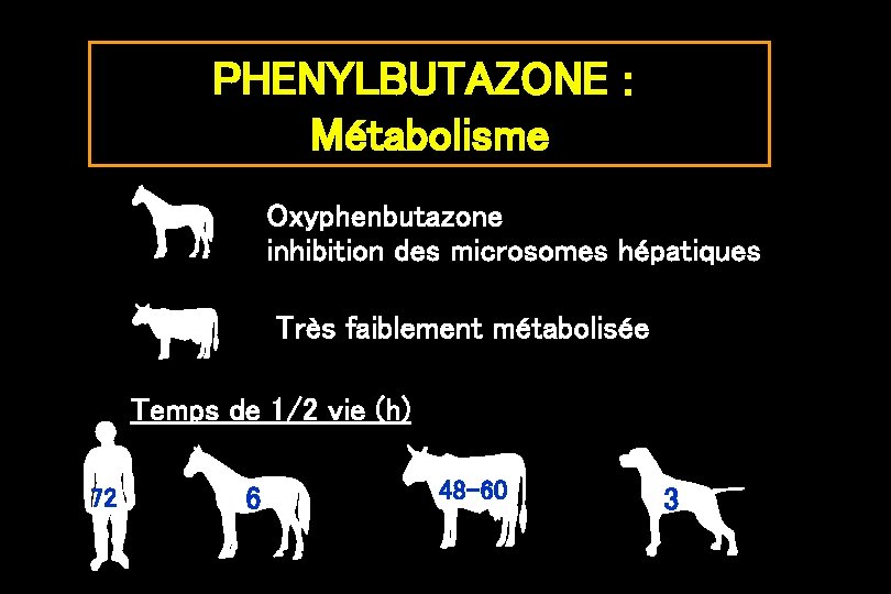 PHENYLBUTAZONE : Métabolisme Oxyphenbutazone inhibition des microsomes hépatiques Très faiblement métabolisée Temps de 1/2