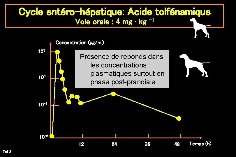 Cycle entéro-hépatique: Acide tolfénamique Voie orale : 4 mg • kg -1 Concentration (µg/ml)