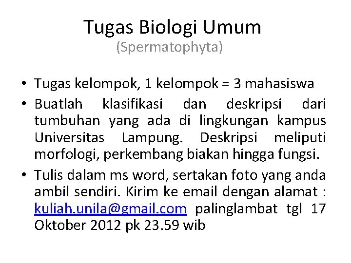 Tugas Biologi Umum (Spermatophyta) • Tugas kelompok, 1 kelompok = 3 mahasiswa • Buatlah