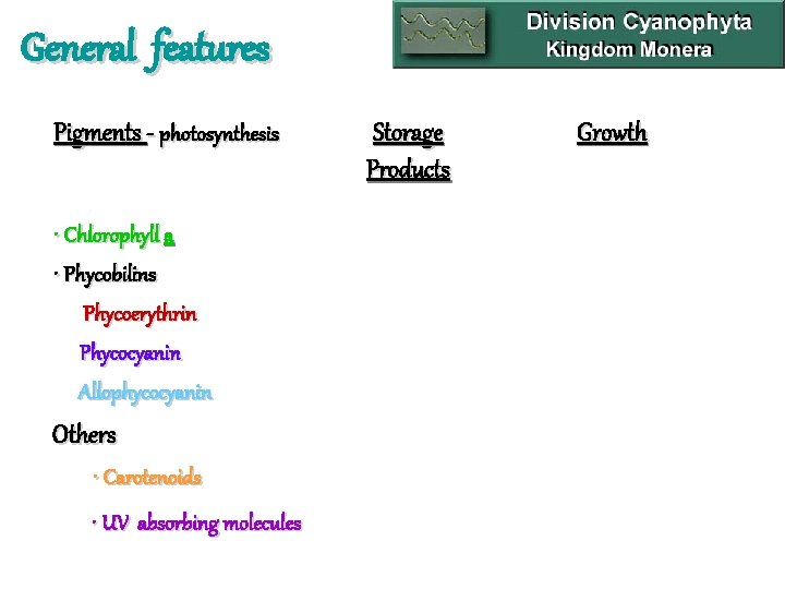 General features Pigments - photosynthesis • Chlorophyll a • Phycobilins Phycoerythrin Phycocyanin Allophycocyanin Others