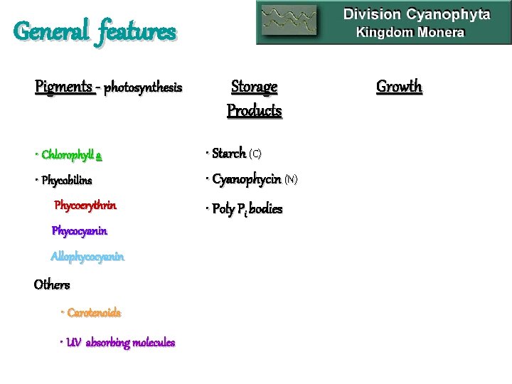 General features Pigments - photosynthesis • Chlorophyll a • Phycobilins Phycoerythrin Phycocyanin Allophycocyanin Others