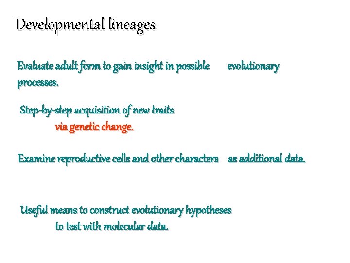 Developmental lineages Evaluate adult form to gain insight in possible processes. evolutionary Step-by-step acquisition