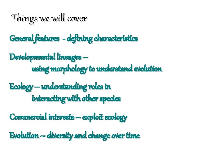 Things we will cover General features - defining characteristics Developmental lineages – using morphology