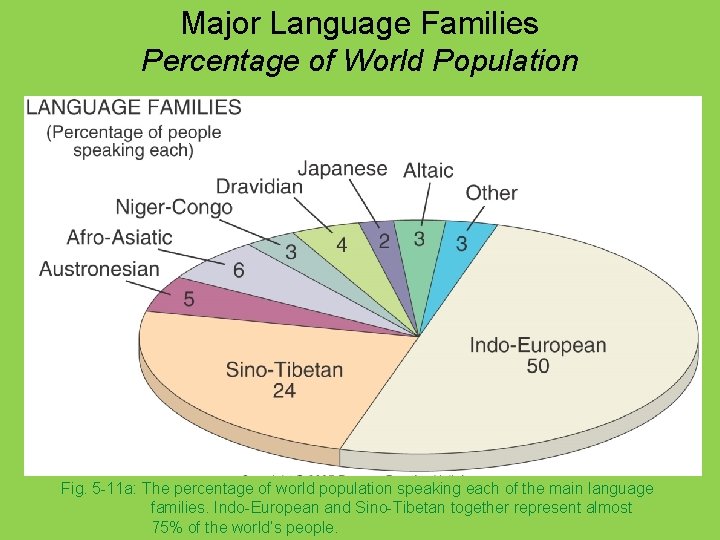 Major Language Families Percentage of World Population Fig. 5 -11 a: The percentage of