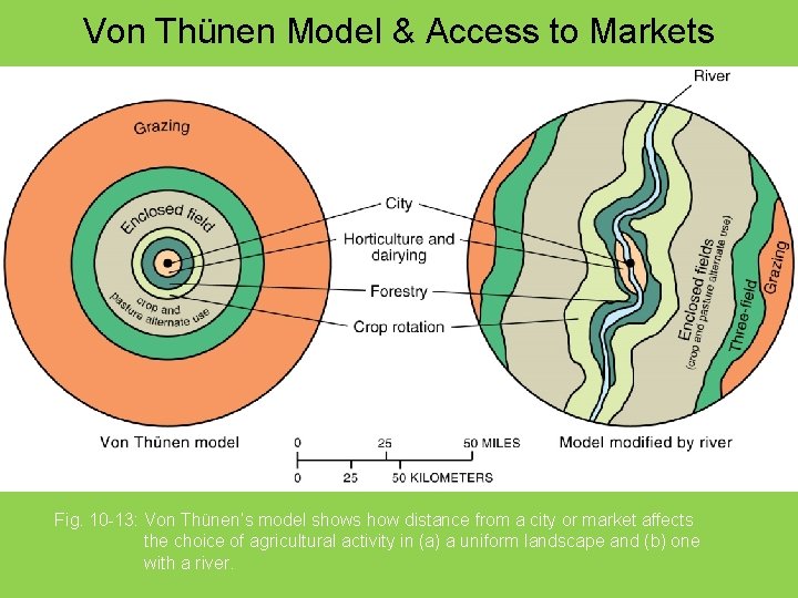 Von Thünen Model & Access to Markets Fig. 10 -13: Von Thünen’s model shows